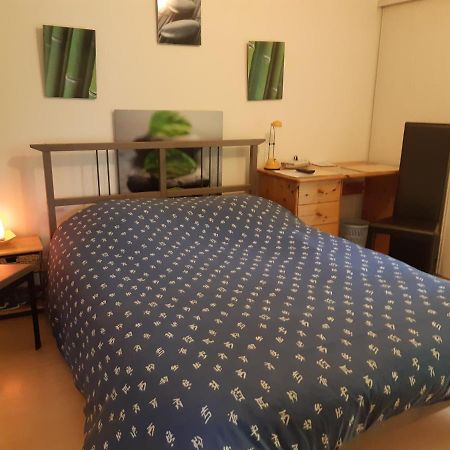 Petit Studio - Chambre Independante Au Calme Landerneau Bagian luar foto